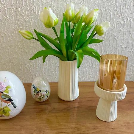 La Pura Vida Appartement Buhlertann